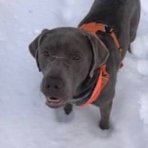 Meet your Posher, Nella